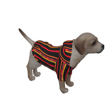 Load image into Gallery viewer, Afrika Cozy Jumper
